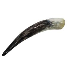 Single cow horn for sale  Mequon