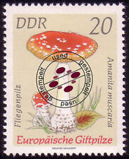 1936 giftpilze roter gebraucht kaufen  Schwalmtal