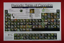 Periodic table cannabis for sale  Seattle