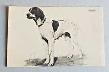 Cartolina temacica cani usato  L Aquila