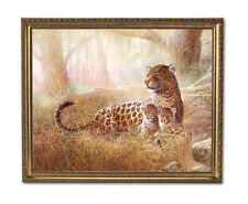 Tropical cheetah cat for sale  Springdale