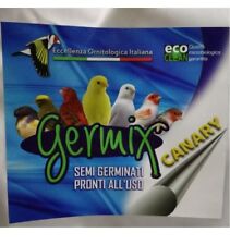 Germix canary semi usato  Pagani