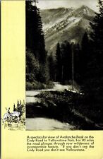 Vtg Wyoming WY Avalanche Peak Cody Road Yellowstone National Park Postcard for sale  Shipping to South Africa