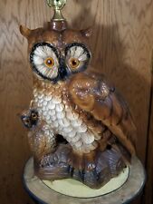Large owl baby for sale  Stone Lake