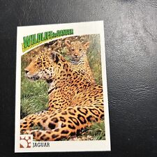 Usado, Gato Jaguar B30s Wildlife In Danger 1992 WWF World Fund #21 comprar usado  Enviando para Brazil