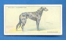 Dogs. .14.deerhound.wills ciga for sale  UK