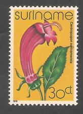 Surinam #485 (A119) VF MNH - 1978 30c Centropogon Surinamensis Flower  for sale  Shipping to South Africa