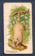Opossum 1890 n21 for sale  Pike Road