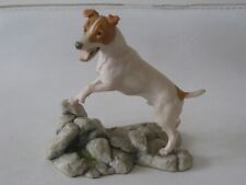 Heredities jack russell for sale  Shipping to Ireland