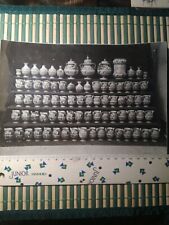 vaso ceramica farmacia usato  Genova