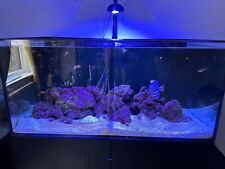 Aqua pro reef for sale  ROTHERHAM