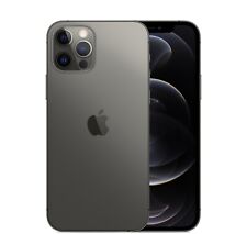 12 iphone pro apple usato  Udine