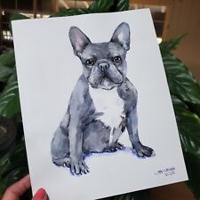 pied frenchie for sale  Chatsworth