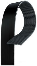 Serpentine belt premium for sale  Cayce