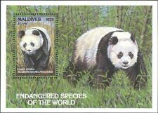 Maldive 1993 panda usato  Trambileno