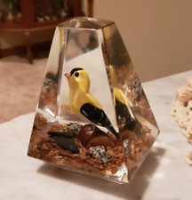 Vintage chardonneret goldfinch d'occasion  Expédié en Belgium