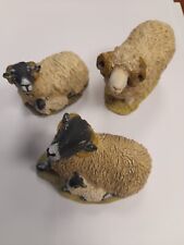 Stef sheep ornaments for sale  CALNE
