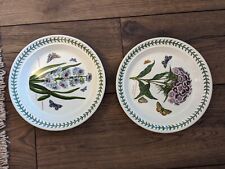 botanical plates for sale  SOUTHPORT