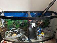 Fish tank sale for sale  Bronx