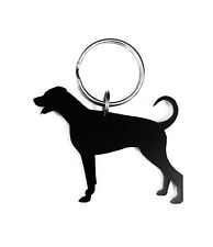 Doberman pinscher dog for sale  ANNAN
