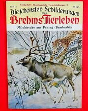 Schilderungen brehms tierleben gebraucht kaufen  Solingen