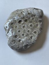 Used, Hand polished Petoskey Stone(one Side Mainly) 4.3 Oz!!!-Found In Michigan!!! for sale  Shipping to South Africa