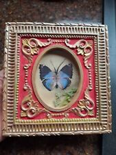 Gold ornate frame for sale  STOCKPORT