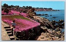 Cartão postal CA Pacific Grove tapete mágico rosa floral bela vista Rock Jetty G5 comprar usado  Enviando para Brazil