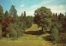 Postcard bedgebury pinetum for sale  NEWCASTLE UPON TYNE