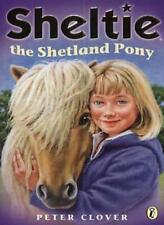Sheltie shetland pony for sale  UK
