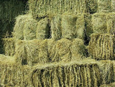 Horse hay bale for sale  MALPAS