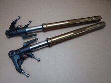 Triumph Daytona 675 ABS 2016 front fork tube stanchions pair (13376) for sale  Shipping to South Africa