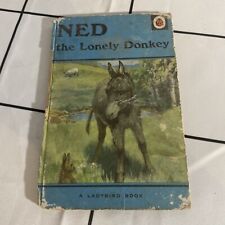 Ned lonely donkey for sale  BRIDLINGTON