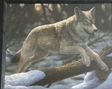 Wolf forest canvas for sale  Kissimmee