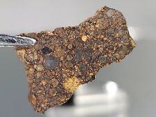 NWA 16551 LL3 1.21g polished meteorite thin slice, packed full of chondrules! for sale  Shipping to South Africa