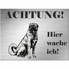 Kangal hirtenhund schild gebraucht kaufen  Deutschland