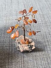 Amber tree life for sale  IPSWICH