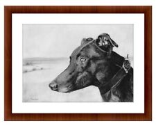 Lurcher dog drawing for sale  TIPTON