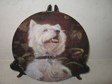 Westie dog plate for sale  WELLINGBOROUGH