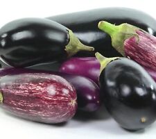 Używany, SEED-Eggplant Variety Pack, Great Flavor, Premium Blend na sprzedaż  Wysyłka do Poland