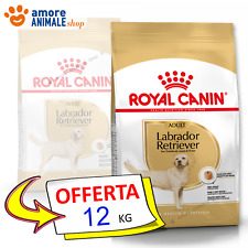 Royal canin labrador usato  Serra De Conti
