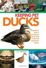 Keeping pet ducks for sale  UK