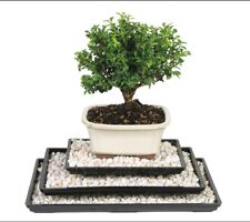 Humidity tray pebbles for sale  Saint Louis