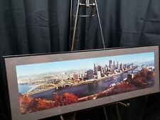 Vintage pittsburg panorama for sale  Carthage