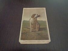 Cartolina postale cane usato  Firenze