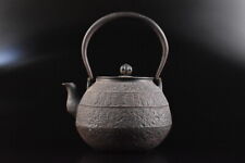 F7435: XF escultura japonesa de poesia de ferro chaleira de chá bule Tetsubin incrustação de prata comprar usado  Enviando para Brazil