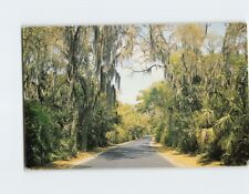 Postcard spanish moss for sale  Almond