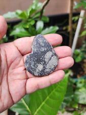 meteorito eucrite- Eucrite Melt Breccia - Encontrado deserto da Líbia -Anchondrite 153.2C comprar usado  Enviando para Brazil
