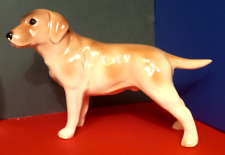 Dog labrador retriever for sale  Shipping to Ireland