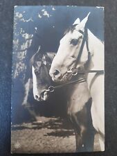 Alte pferdepostkarte pferd gebraucht kaufen  Beeskow